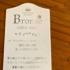 ウェイゲラ　アレキサンドラ　購入株の画像