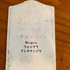 ウェイゲラ　アレキサンドラ　購入株の画像