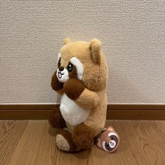 ぬいぐるみ　アライグマ　たぬきの画像