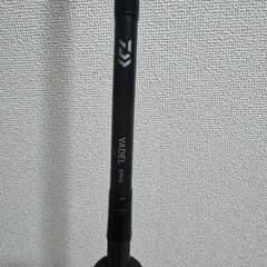 DAIWA VADEL船釣り用の画像