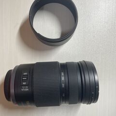 Panasonic H-FS100300 ズームレンズの画像
