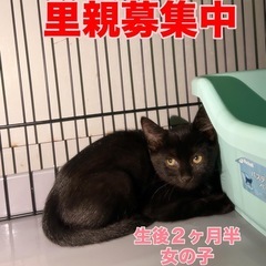 怖がりだけど甘えん坊