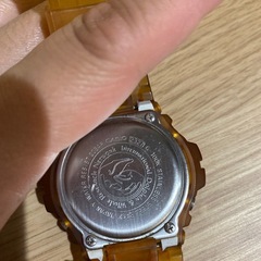 1999年G SHOCKイルクジモデルの画像