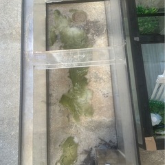 🐟アクリル水槽＆ガラス水槽🐟の画像