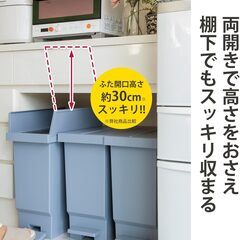 ゴミ箱 平和工業 バタフライペダルペール 32L クールグレーの画像