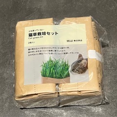 猫草 栽培キット 無印良品　犬と猫が好きな草のタネ 栽培用つち土の画像