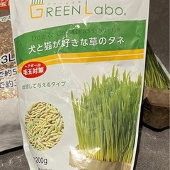 猫草 栽培キット 無印良品　犬と猫が好きな草のタネ 栽培用つち土の画像
