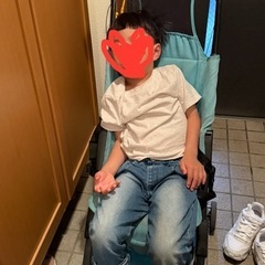 ポキット(1台)【gb】[B型ベビーカー バギー]の画像