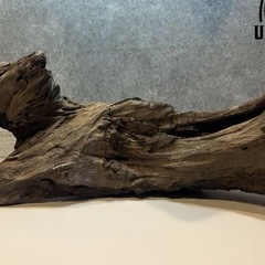 流木の画像