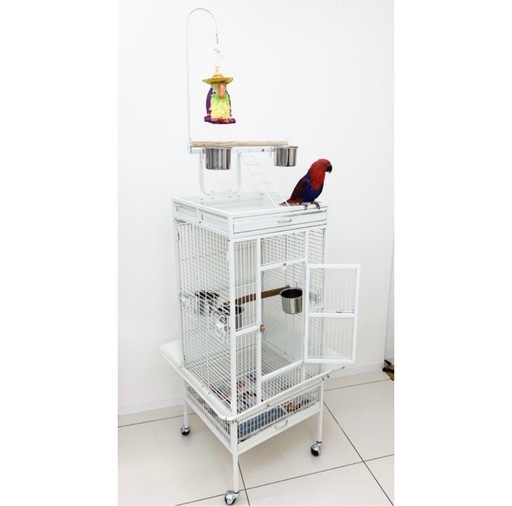 鳥、インコ、アイアンケージ