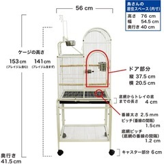 鳥、インコ、アイアンケージの画像