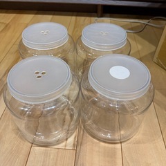 菌糸ボトル　プラスチック容器
まとめ売りの画像
