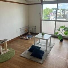 💰️敷礼無料！安心と快適、ペット相談可の居住空間。