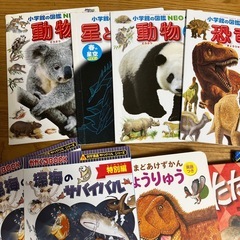 【9月中】【追加あり】マグドナルド 本 12冊　の画像