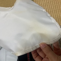 コストコ会員限定プレミアム保冷バッグの画像