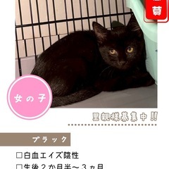 ちょっと怖がりさん🩷