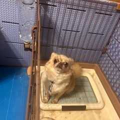 広島市近郊で募集します