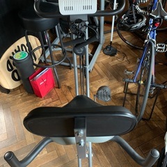 アルインコ　コンフォートバイクII AFB4309 GX/WXの画像