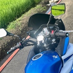 スズキ GSR 250Fの画像