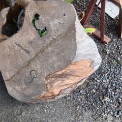 一枚板あげますの画像