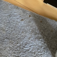 猫の爪とぎの画像