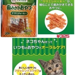 ペット用自動給餌器【犬猫兼用】エサ入れ給水の画像