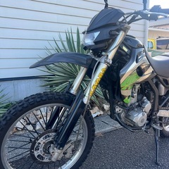 klx250(Dトラッカー)の画像