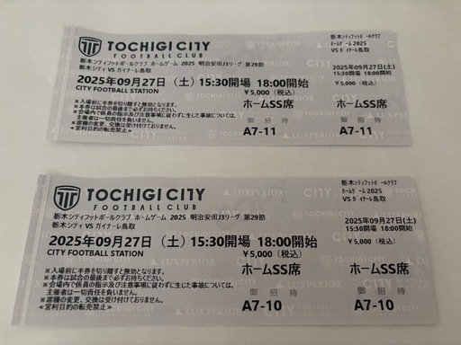 栃木シティホームゲーム指定席観戦チケットた