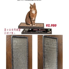 猫ちゃんビビニャン爪研ぎボード3個 ボールキャッチャーねずみ付きの画像