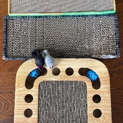 猫ちゃんビビニャン爪研ぎボード3個 ボールキャッチャーねずみ付きの画像