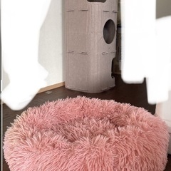 ペット用もふもふクッションベッドの画像