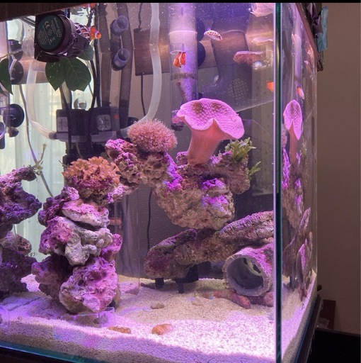 コトブキ　水槽　水槽台　外部フィルター　まとめセット