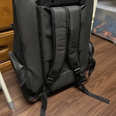 ペットを運ぶリュックキャリーの画像
