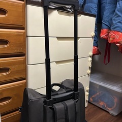 ペットを運ぶリュックキャリーの画像