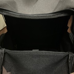 ペットを運ぶリュックキャリーの画像