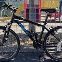 MTB GIANT の画像