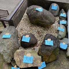 庭園用の石　石庭の石　大小12個の画像