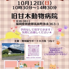 \初開催/！保護猫の譲渡会　旧甘木動物病院