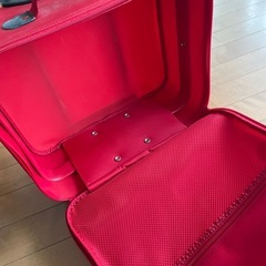 10月末処分！中古品　キャリーバッグ　子供サイズ　フェリシモの画像