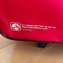 10月末処分！中古品　キャリーバッグ　子供サイズ　フェリシモの画像