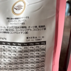 犬パピー
ドックフードの画像