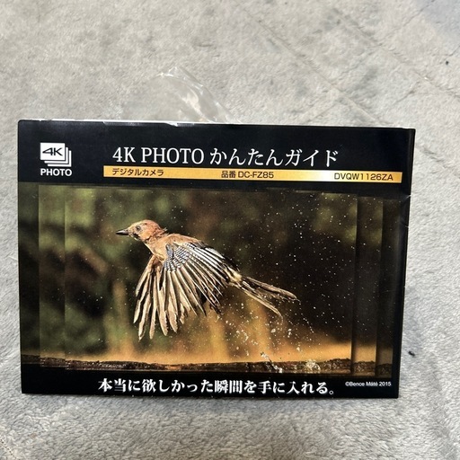 家電 Panasonic DC-FZ85