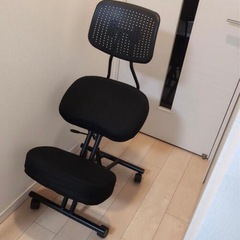 バランスチェアの画像