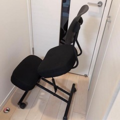 バランスチェアの画像
