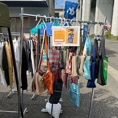 メダカ、ヌマエビ、睡蓮、その他いろいろありますの画像