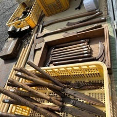 メダカ、ヌマエビ、睡蓮、その他いろいろありますの画像