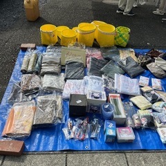 メダカ、ヌマエビ、睡蓮、その他いろいろありますの画像