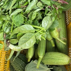mươpsの画像