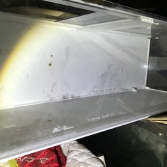 アクリル水槽　90センチの画像