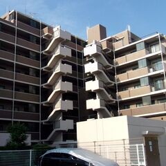 🏢藤和シティホームズ浮間公園　８階　３LDK　66.14㎡…